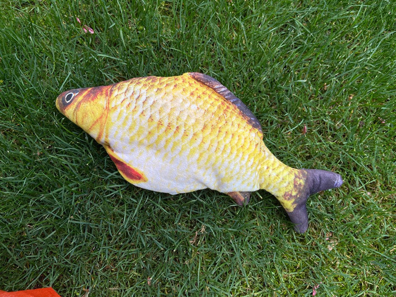 FishyMusic - Singing Dancing Fish