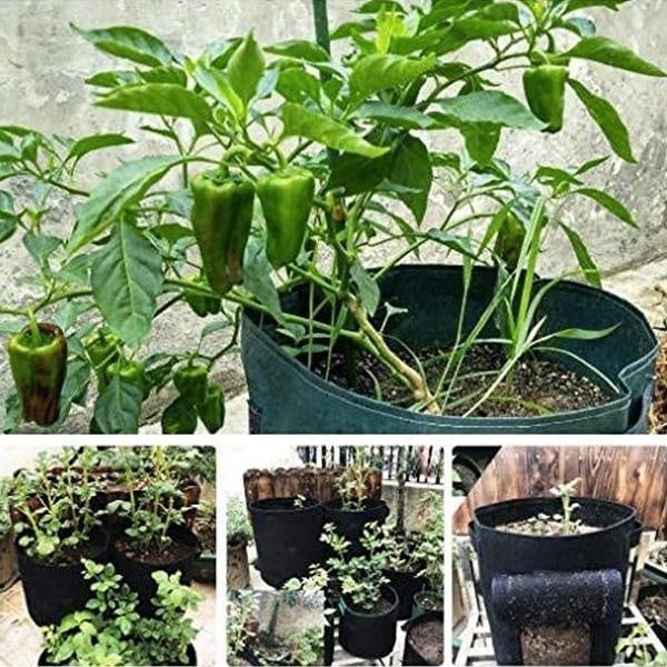 Garden Plant Grow Bag with Access Flap