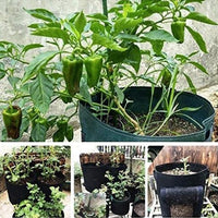 Thumbnail for Garden Plant Grow Bag with Access Flap