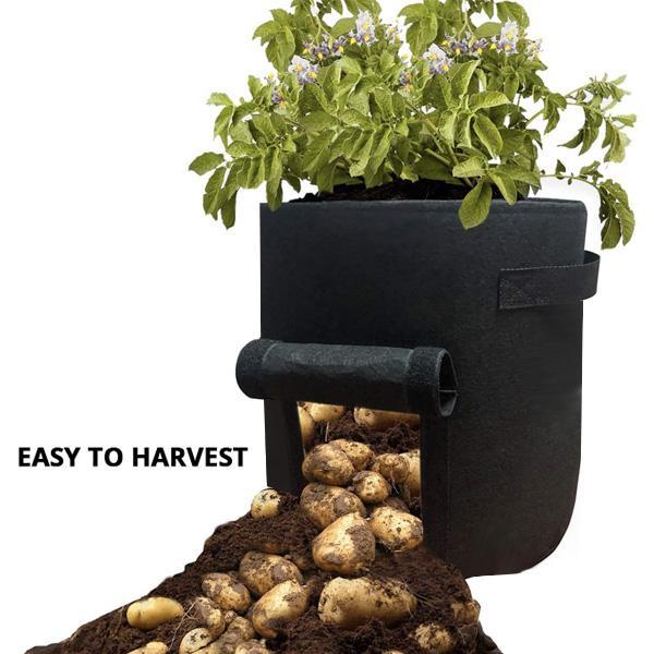 Garden Plant Grow Bag with Access Flap