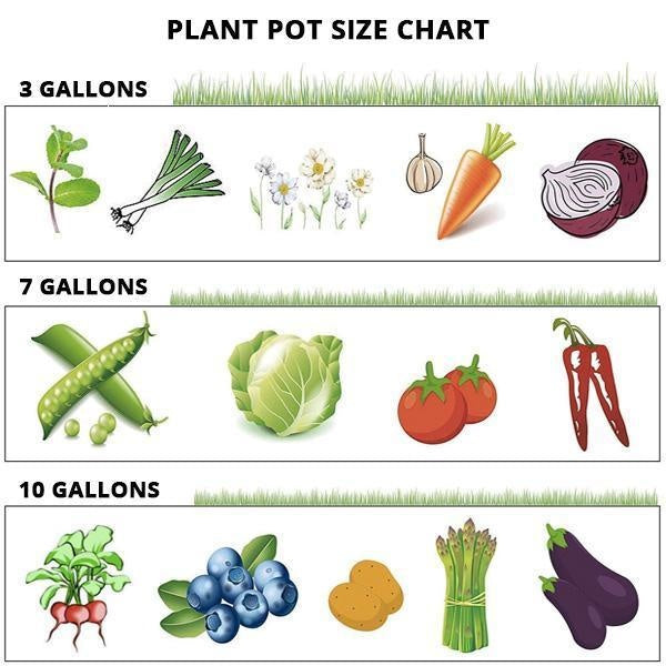 Garden Plant Grow Bag with Access Flap