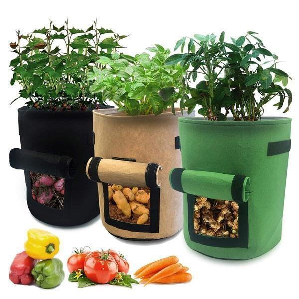 Garden Plant Grow Bag with Access Flap