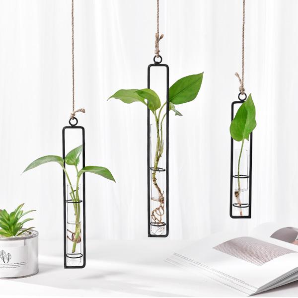 Hanging Glass Tube Plant Terrarium with Iron Frame