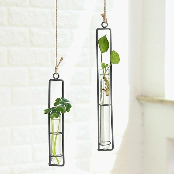 Hanging Glass Tube Plant Terrarium with Iron Frame