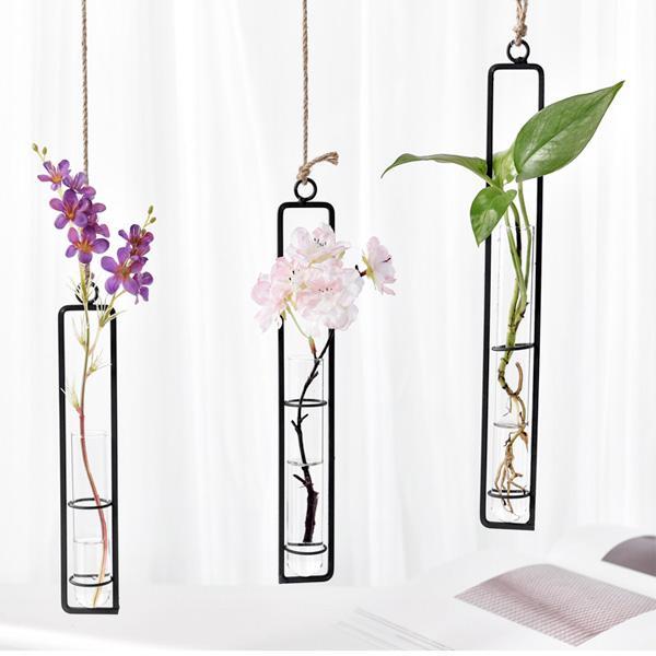 Hanging Glass Tube Plant Terrarium with Iron Frame