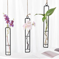 Thumbnail for Hanging Glass Tube Plant Terrarium with Iron Frame