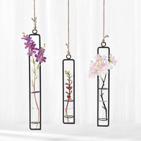 Thumbnail for Hanging Glass Tube Plant Terrarium with Iron Frame