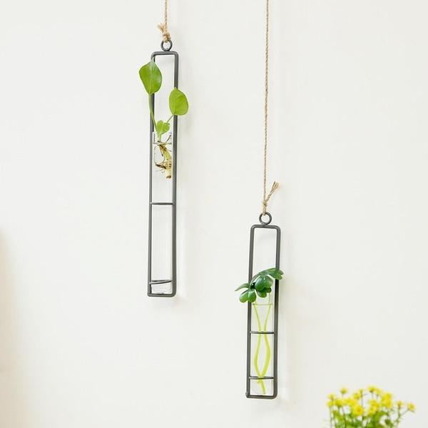 Hanging Glass Tube Plant Terrarium with Iron Frame