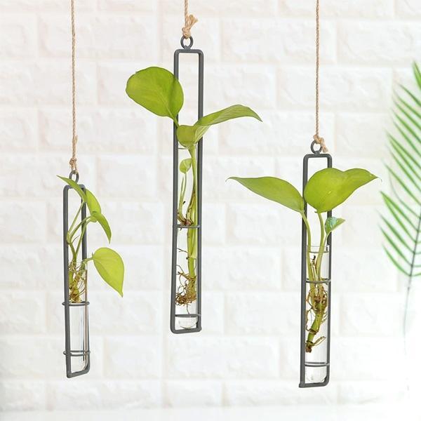 Hanging Glass Tube Plant Terrarium with Iron Frame