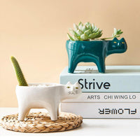 Thumbnail for Kat Pot PeekWise