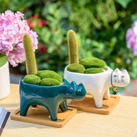 Thumbnail for Kat Pot PeekWise