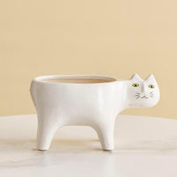 Thumbnail for Kat Pot PeekWise