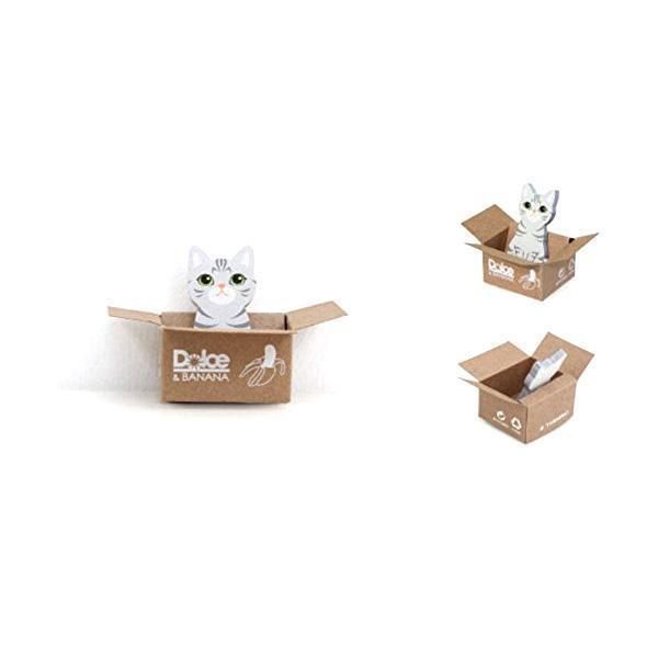 Kitty In A Box Sticky Notepads