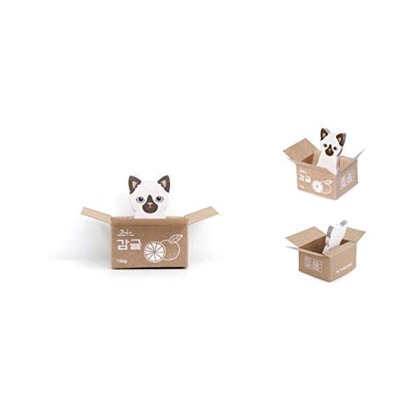 Kitty In A Box Sticky Notepads