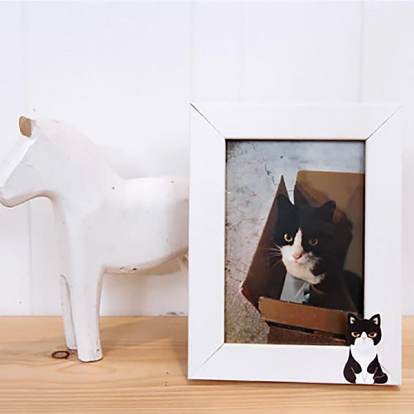 Kitty In A Box Sticky Notepads