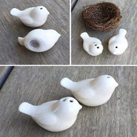 Thumbnail for Love Birds Salt & Pepper Shakers