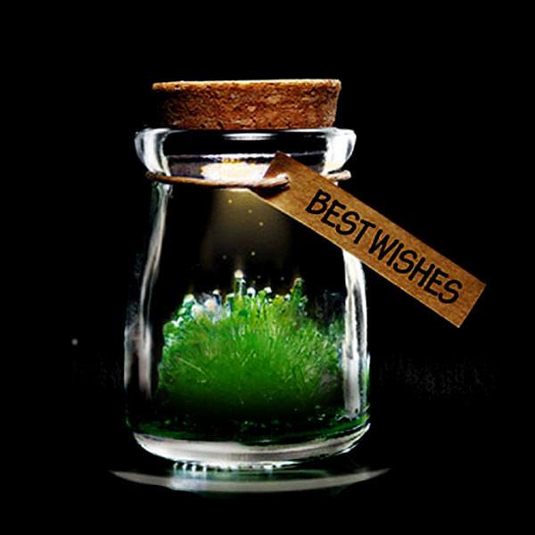Magic Crystal Growing Jar Kit (Various Colors And Messages)