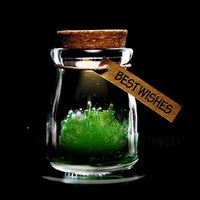 Thumbnail for Magic Crystal Growing Jar Kit (Various Colors And Messages)