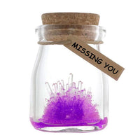Thumbnail for Magic Crystal Growing Jar Kit (Various Colors And Messages)