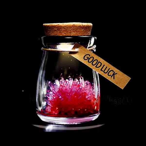 Magic Crystal Growing Jar Kit (Various Colors And Messages)