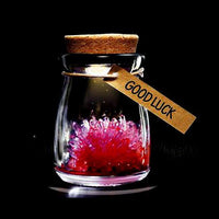 Thumbnail for Magic Crystal Growing Jar Kit (Various Colors And Messages)