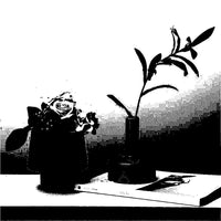 Thumbnail for Mora Vase PeekWise