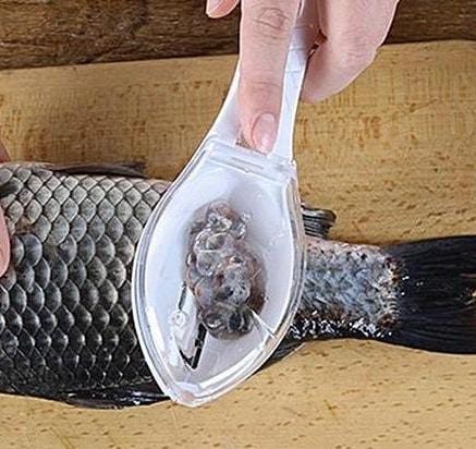 Fish Scale Scraper PeekWise