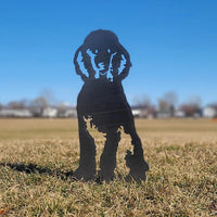 Thumbnail for Cairn Terrier