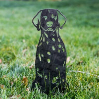 Thumbnail for Cairn Terrier