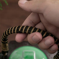 Thumbnail for product-image