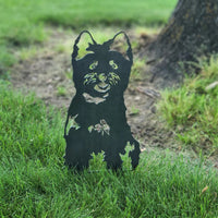 Thumbnail for Cairn Terrier