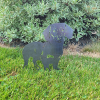 Thumbnail for Cairn Terrier