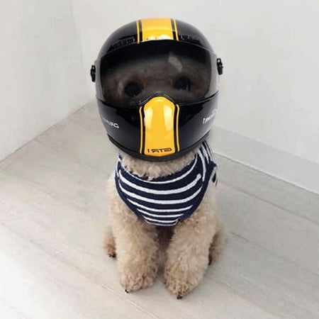 Pet Puppy And Cat Race Car Helmets