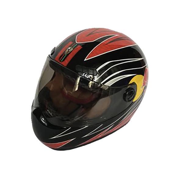 Pet Puppy And Cat Race Car Helmets