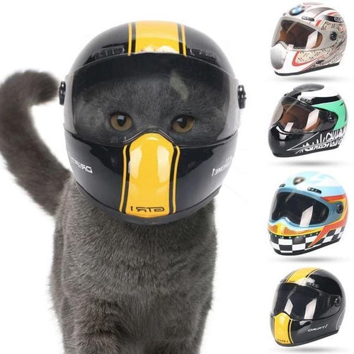 Pet Puppy And Cat Race Car Helmets