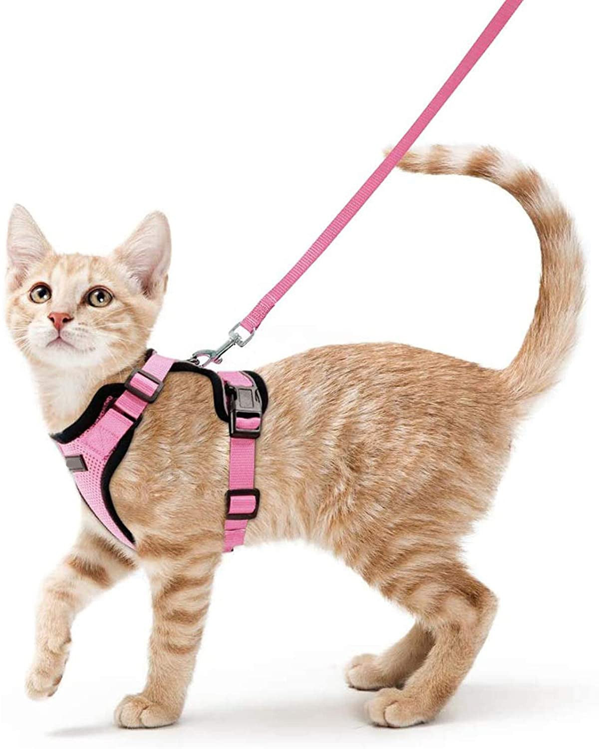 Cat Harness For Walking