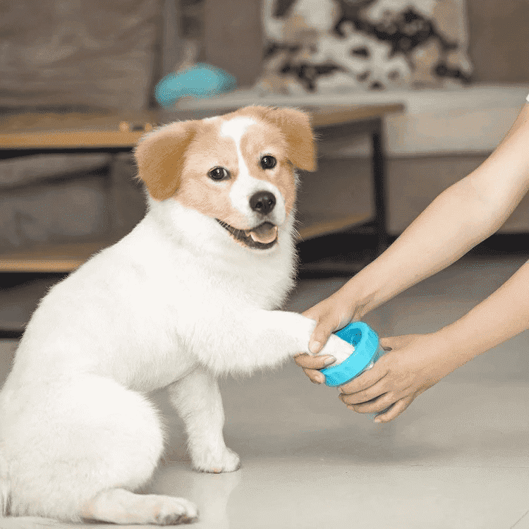 Portable Pet Paw Cleaner - PeekWise