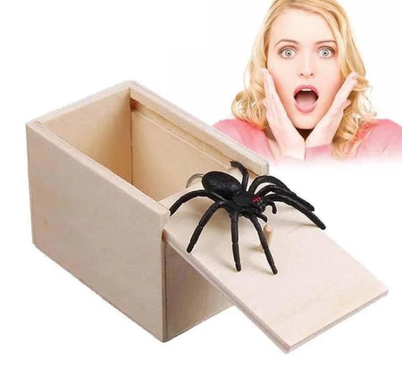 Spider Prank Box - PeekWise