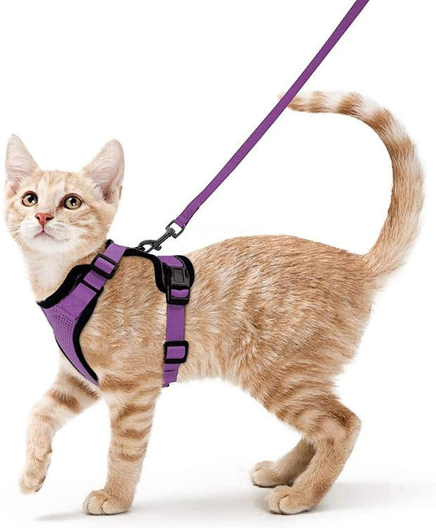 Cat Harness For Walking