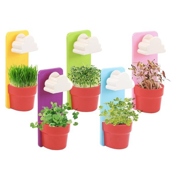 Rain Cloud Watering Planter