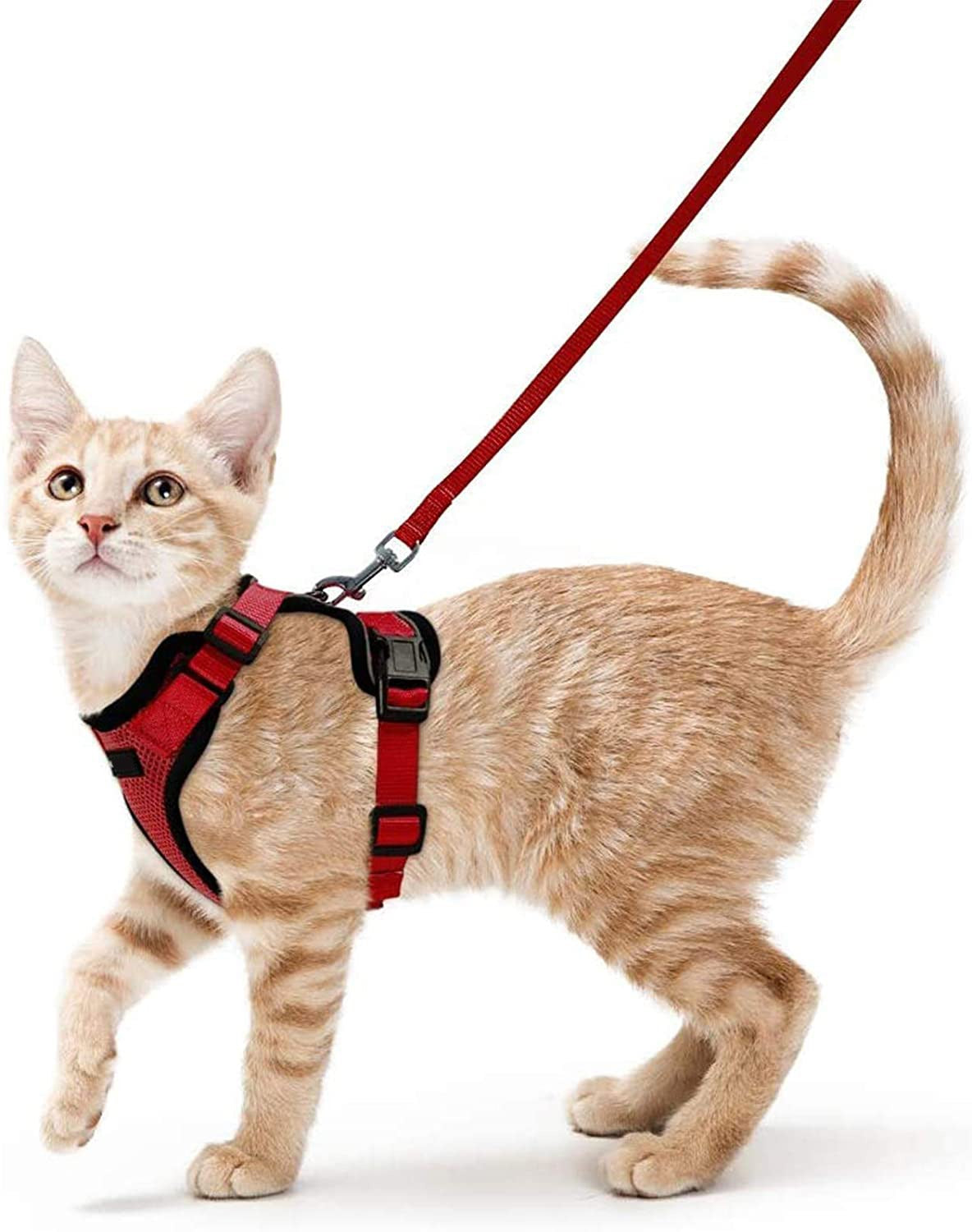 Cat Harness For Walking