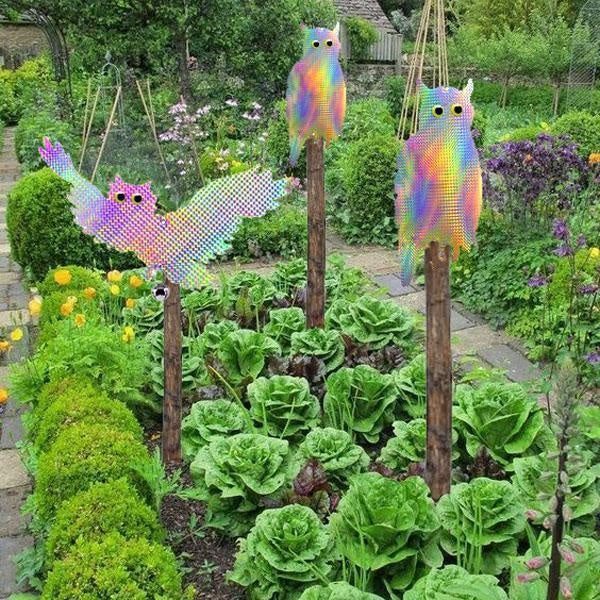 Reflective Owl Scarecrow Bird Deterrent (One Pair)