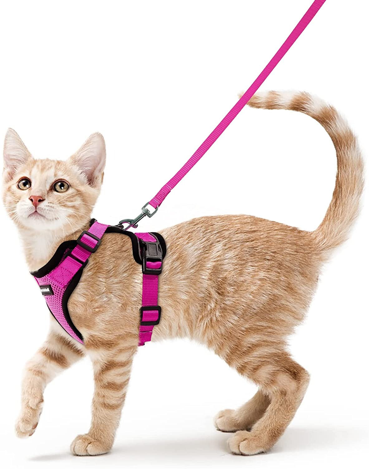 Cat Harness For Walking