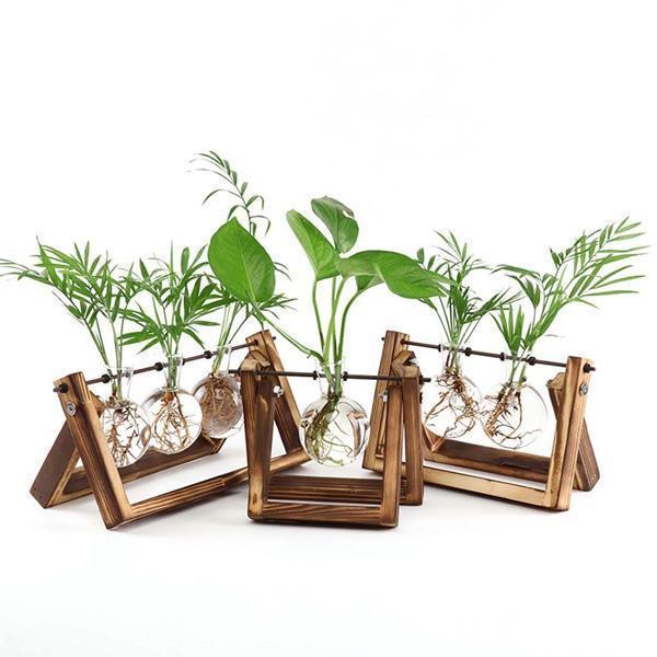 Wood Rustic Bulb Planter Terrarium