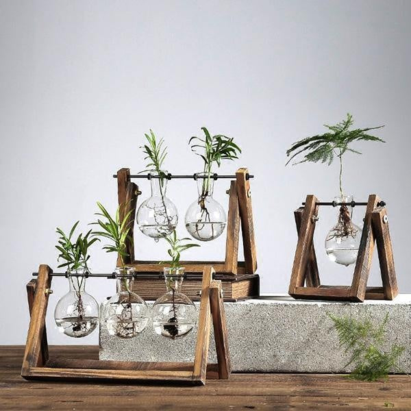 Wood Rustic Bulb Planter Terrarium