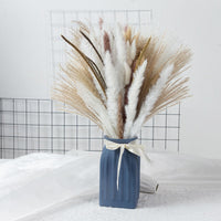 Thumbnail for product-image