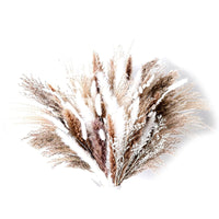 Thumbnail for product-image
