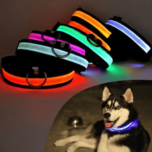 Safety Flashing Glow Light Pet Collar PeekWise