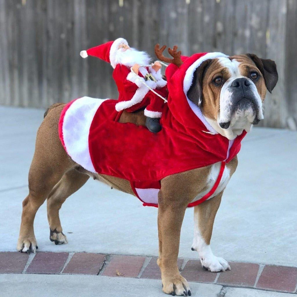 Christmas Santa Dog Costume - PeekWise