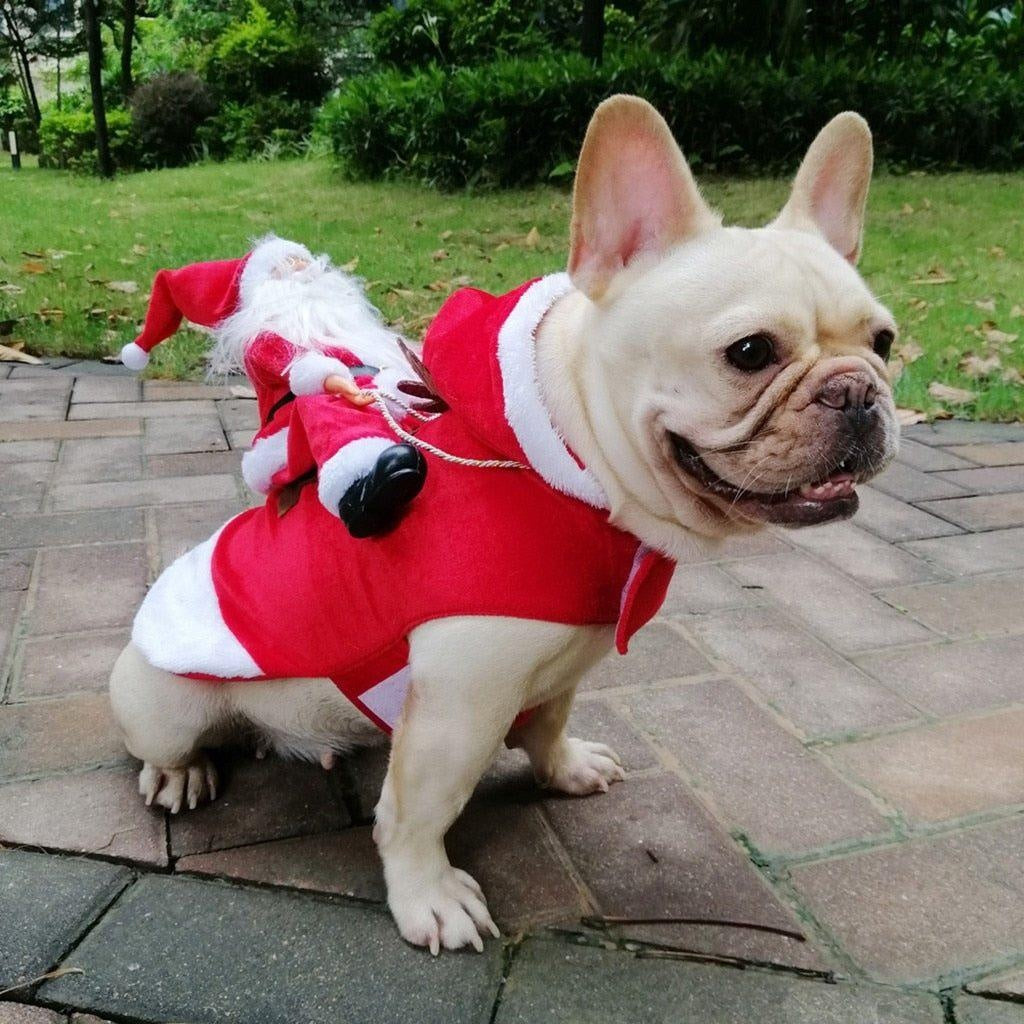 Christmas Santa Dog Costume - PeekWise